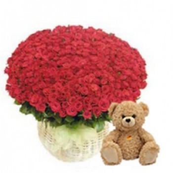 Red roses. Teddy Bear.